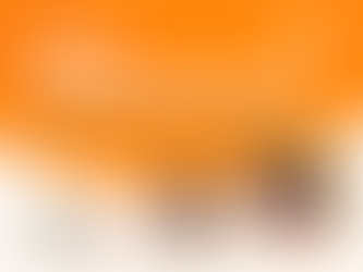 Case Coordinator (Alice Springs and Tennant Creek)
