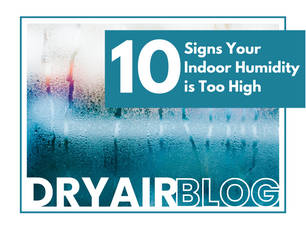 10 Signs Indoor Humidity is Too High