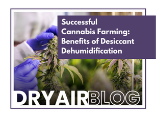 Benefits of Desiccant Dehumidification for Successful Cannabis Farming