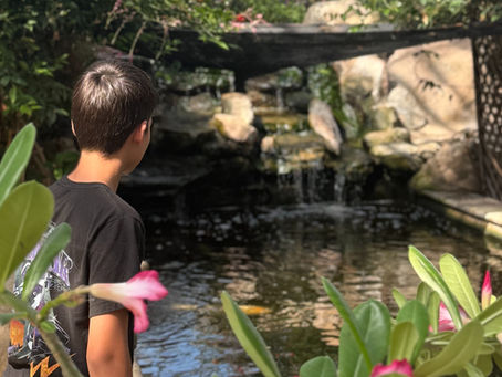 Field Trips for Homeschoolers: 13 Powerful Benefits that Bring Learning to Life