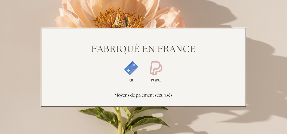 les merveilles d'angélique-8.png