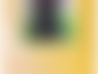 展覧会のお知らせ