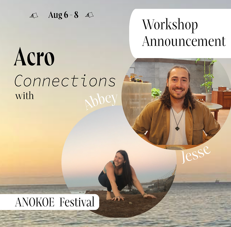 Acro Connections (ANKOE festival)