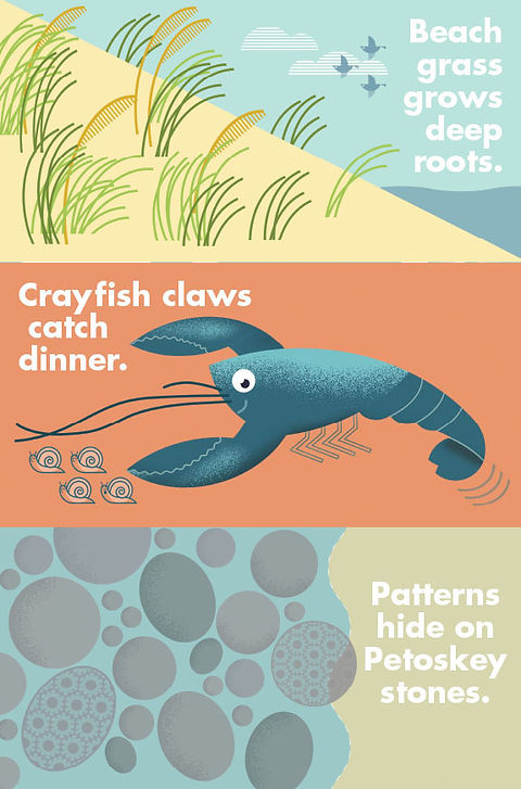 Book Illustrations