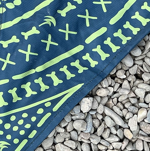 Bandana Closeup