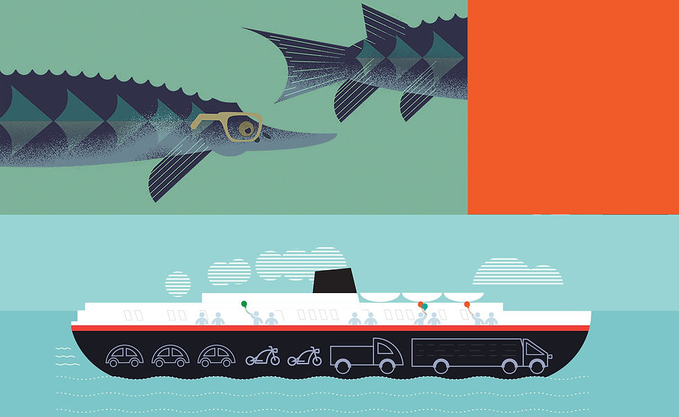 Book Illustrations