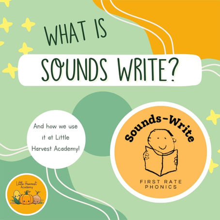 Discovering Sounds Write: Our Secret to Reading Success