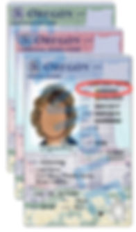 Permit example.jpg