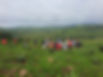 Bush Experience 2.jpeg