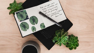 The Power of a Two-Minute Habit | Vanessa Bruni