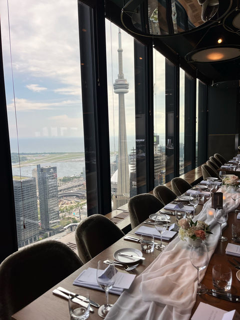 indian wedding dj toronto, indian dj toronto, toronto wedding dj, wedding dj toronto, toronto wedding dj services, toronto wedding dj reviews