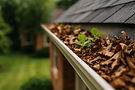 Clogged gutters needing cleaning