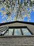 Brick house window, spring blossoms above