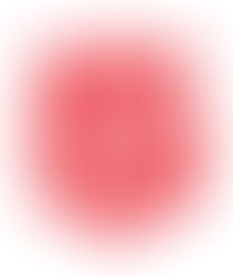 Salvation Army - Red Shield Appeal 2026