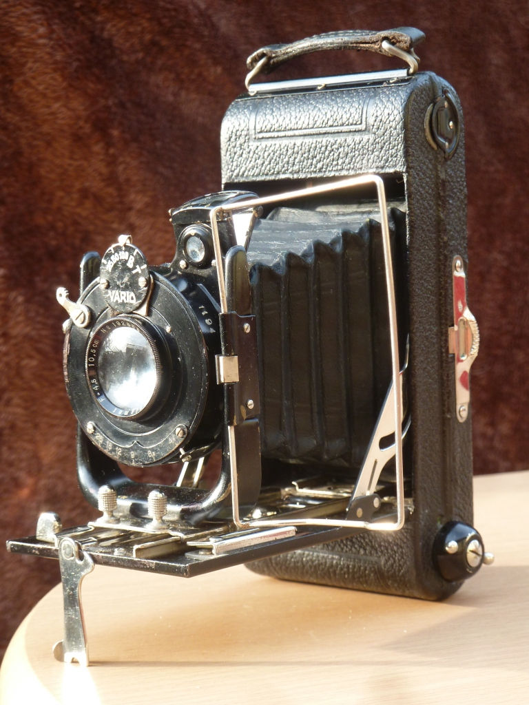 Dolland Owl Camera