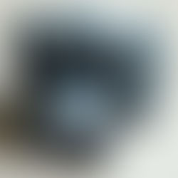 Collecting Japanese Folding Cameras Part Two