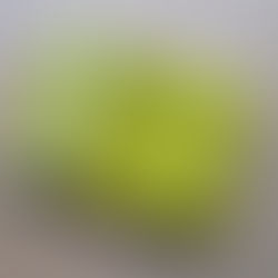 The Praktica Book by Roger Rossing written in 1963.