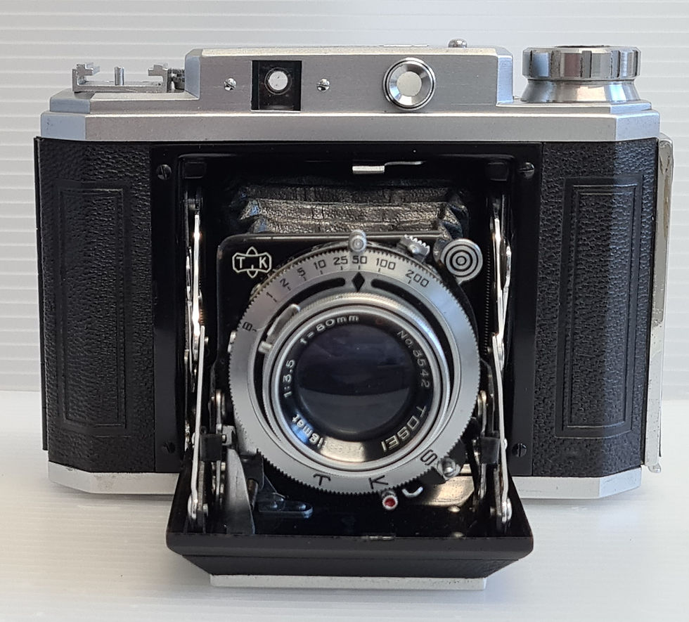 Frank Six IV Front View