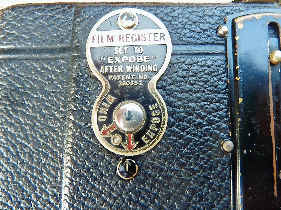 Owl No 2 Red Window Cover