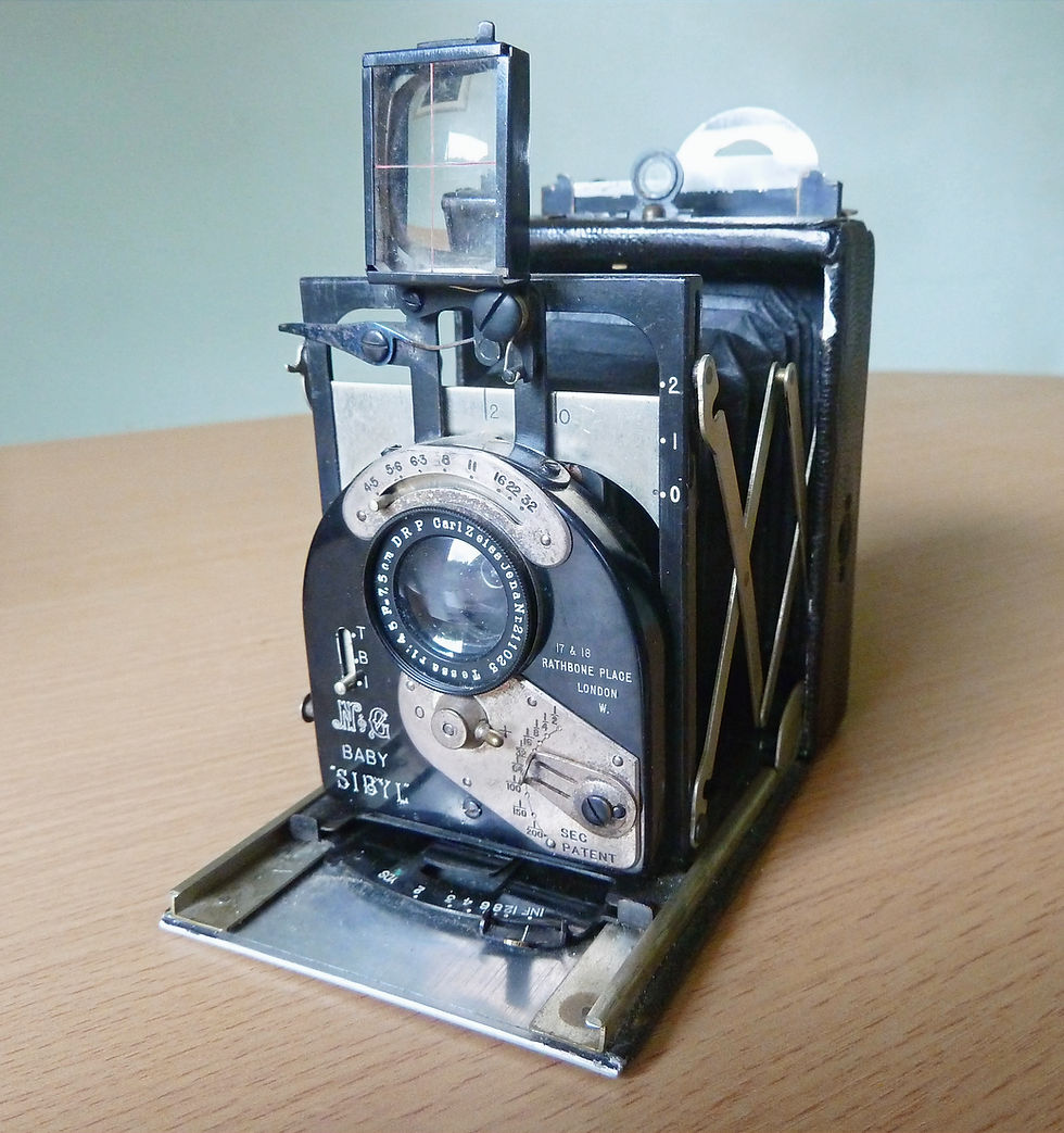 Newman and Guardia Baby Sibyl Plate Camera