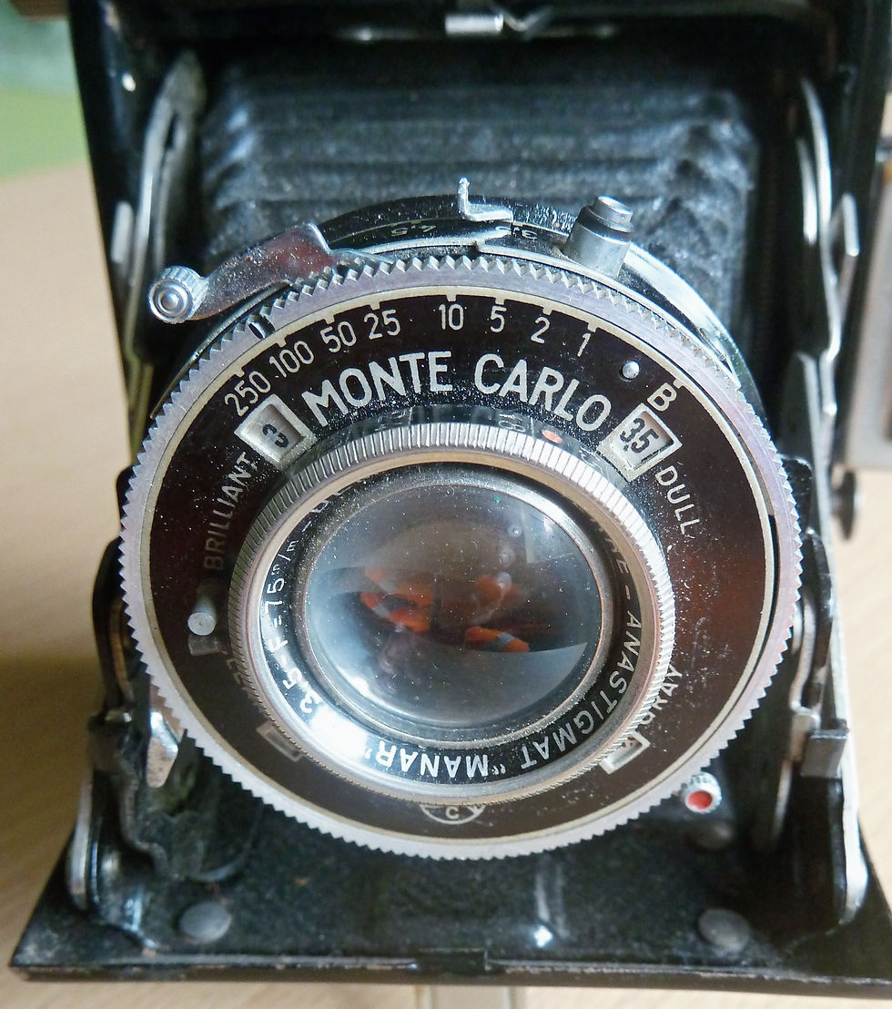 Lens Panel Monte Carlo
