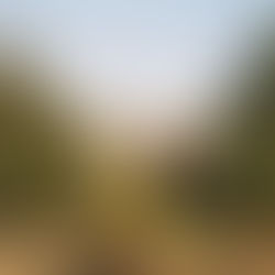 Praktica BMS First Film Results