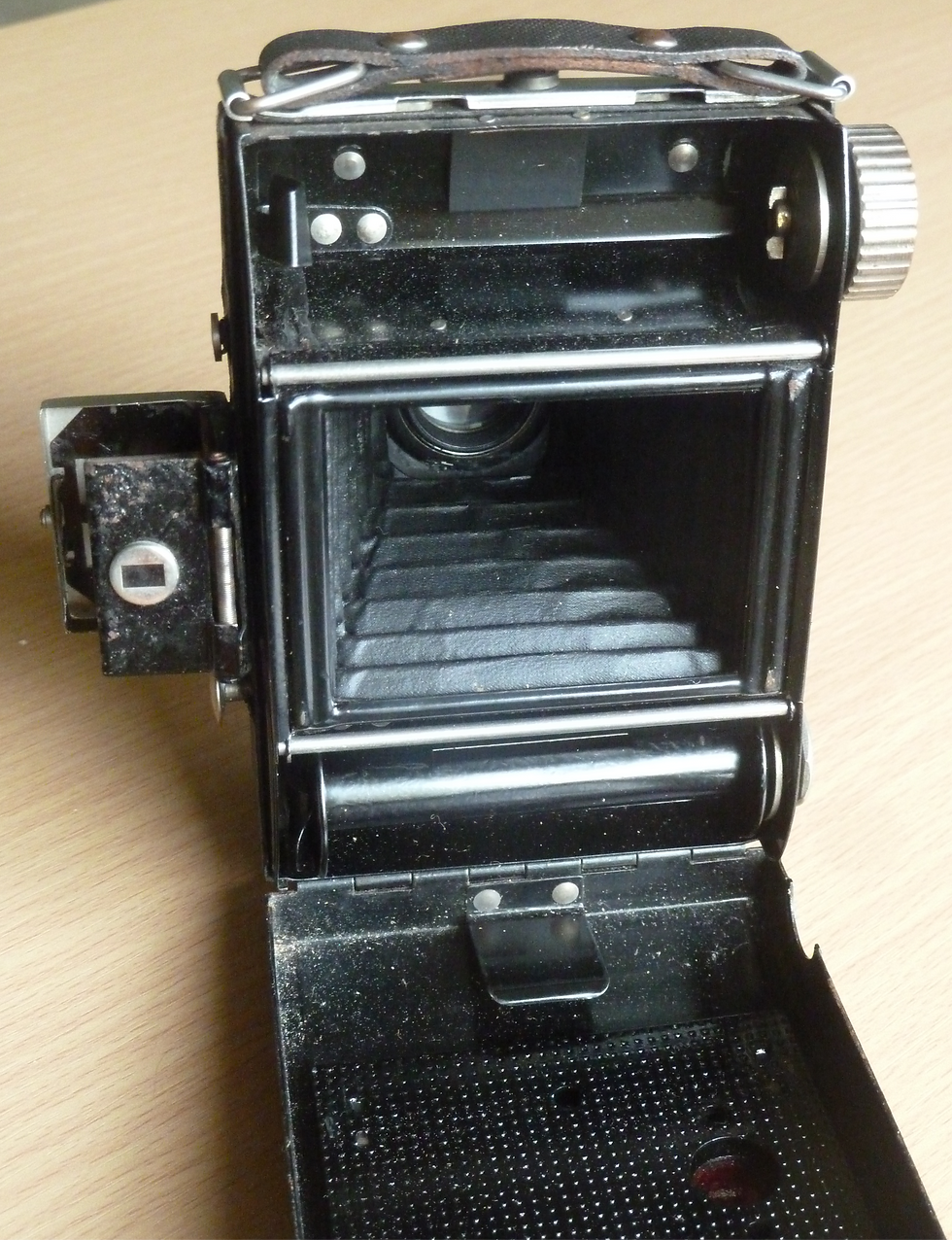Inside the back of the Monte Carlo