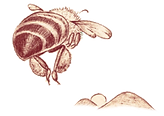 illust_bee03_edited.png