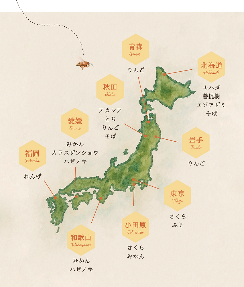 日本地図 産地一覧③.png