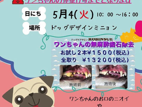 ♦お知らせ【歯磨きの大切さ】♦