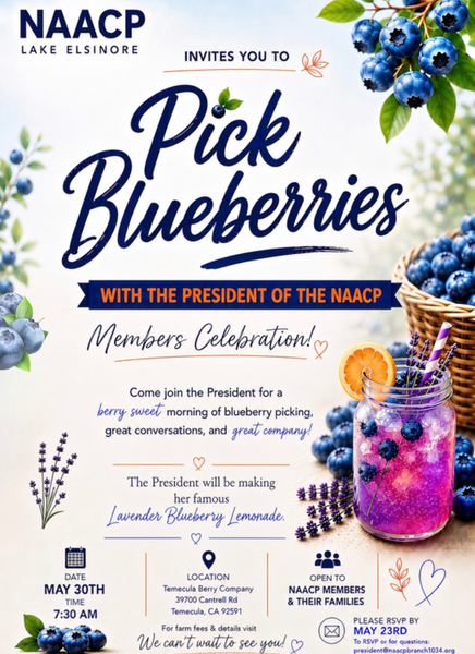 Blueberry Flyer.PNG