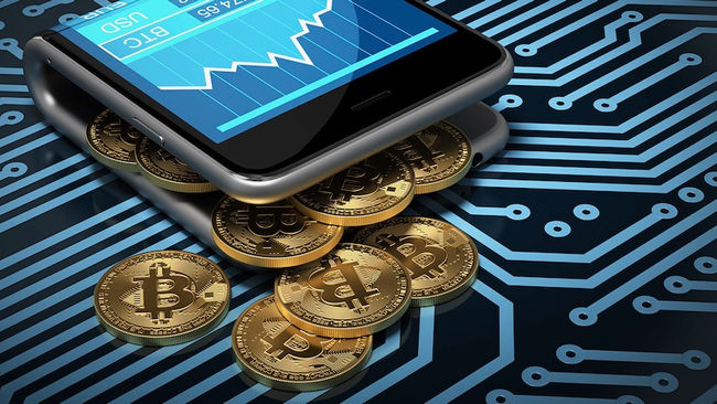 Interesting Facts That You Might Not Know About the Crypto Wallets