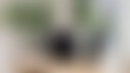 Elevate Your Space with a Fragranced Diffuser