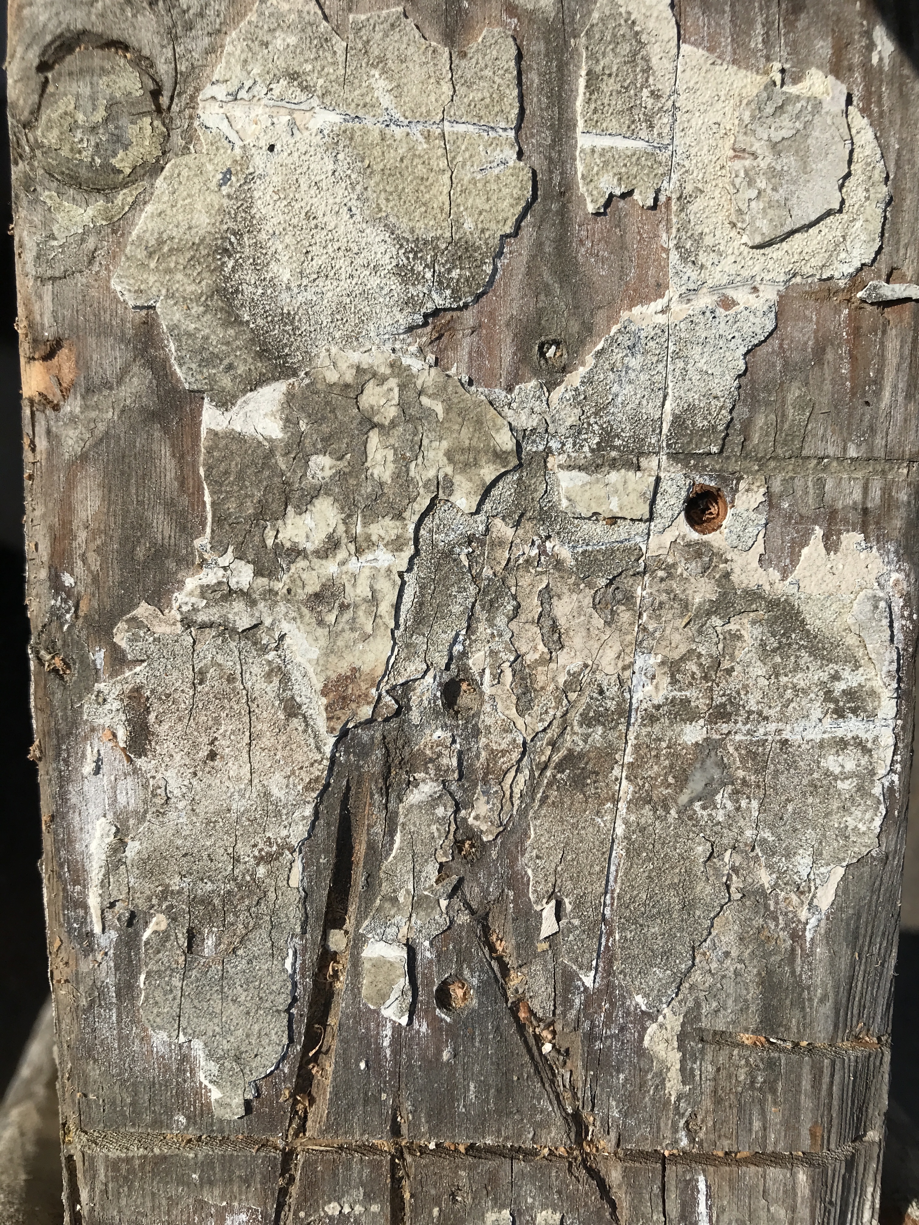 wood