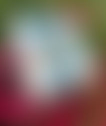 Ready to Take Flight?