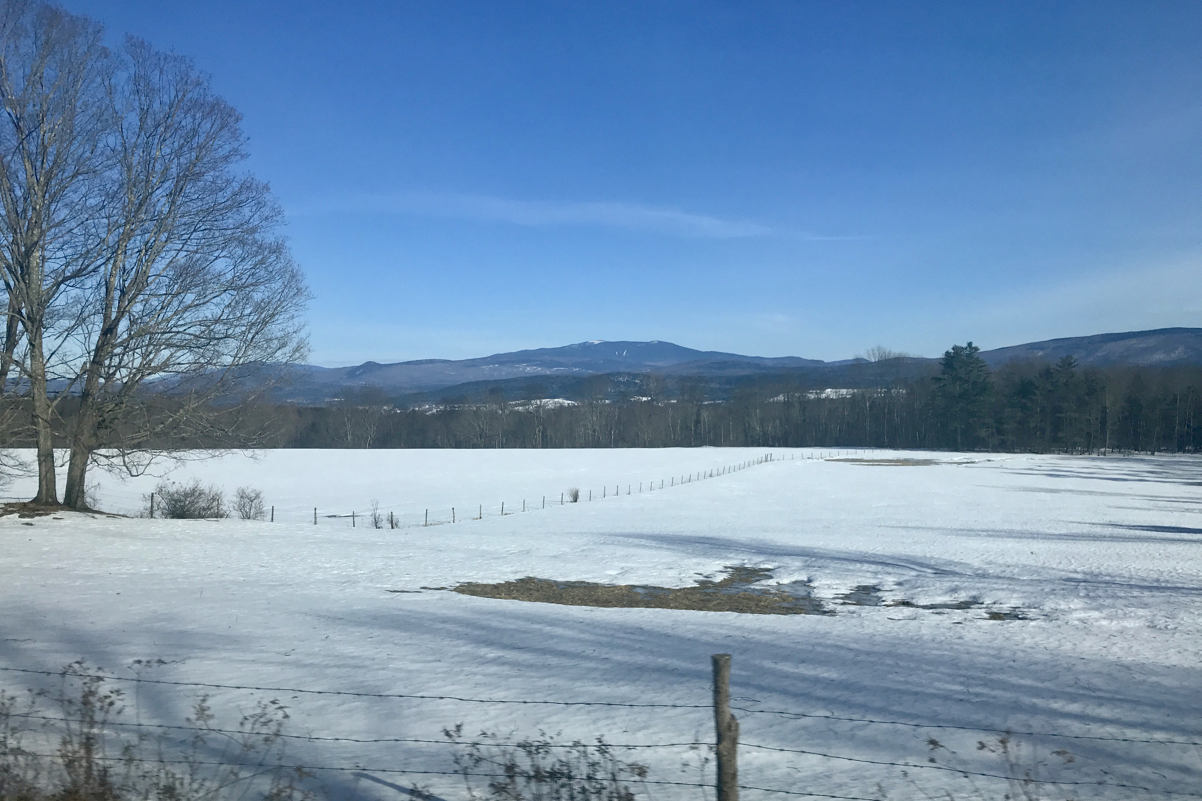 mountain
