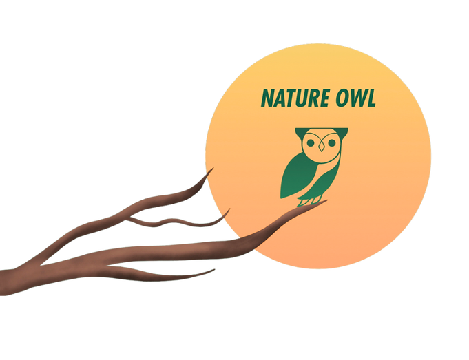 RKS Nature Owl Logo