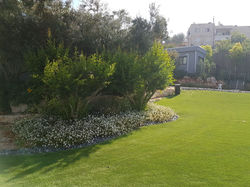 גינה ירושלמית