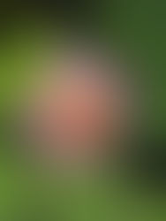 בדקו את עצמכם: האם אתם אנשים רגישים מאוד?