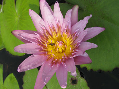 בדקו את עצמכם: האם אתם אנשים רגישים מאוד?