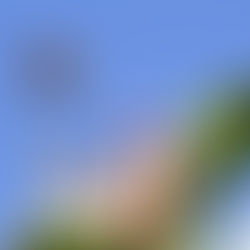 דבש - אוצר מן הטבע