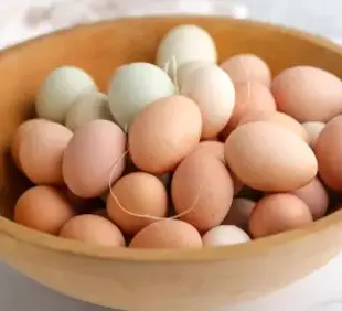 eggs.webp