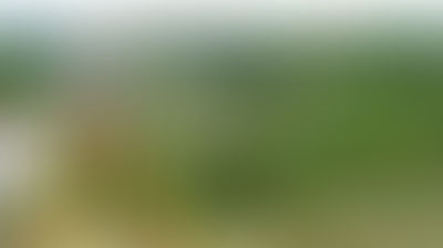 Several Aspects of Surveying