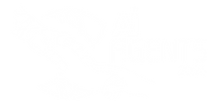 Agentes IA