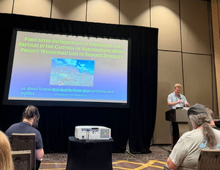Don presenting at JMIH 2026