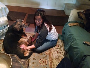 Reiki is a Japanese technique for reducing stress and anxiety while promoting relaxation and healing using life force energy. While Reiki is beneficial to all dog’s, it is especially helpful to senior and to hospice dogs increase their energy and giving them a sense of peace