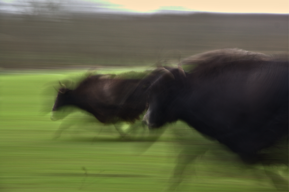wheeee.png