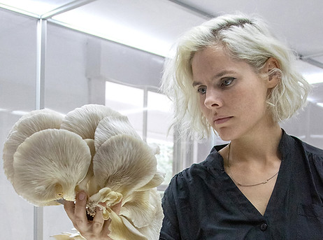 mycelium headshot.jpeg