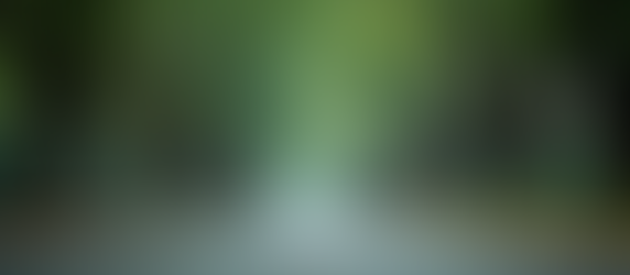 Transform Bengaluru with Green Infrastructure Strategies