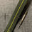 Thumbnail: Exclusive UK Marine Nationale Nylon Strap - Green / Yellow - Stainless